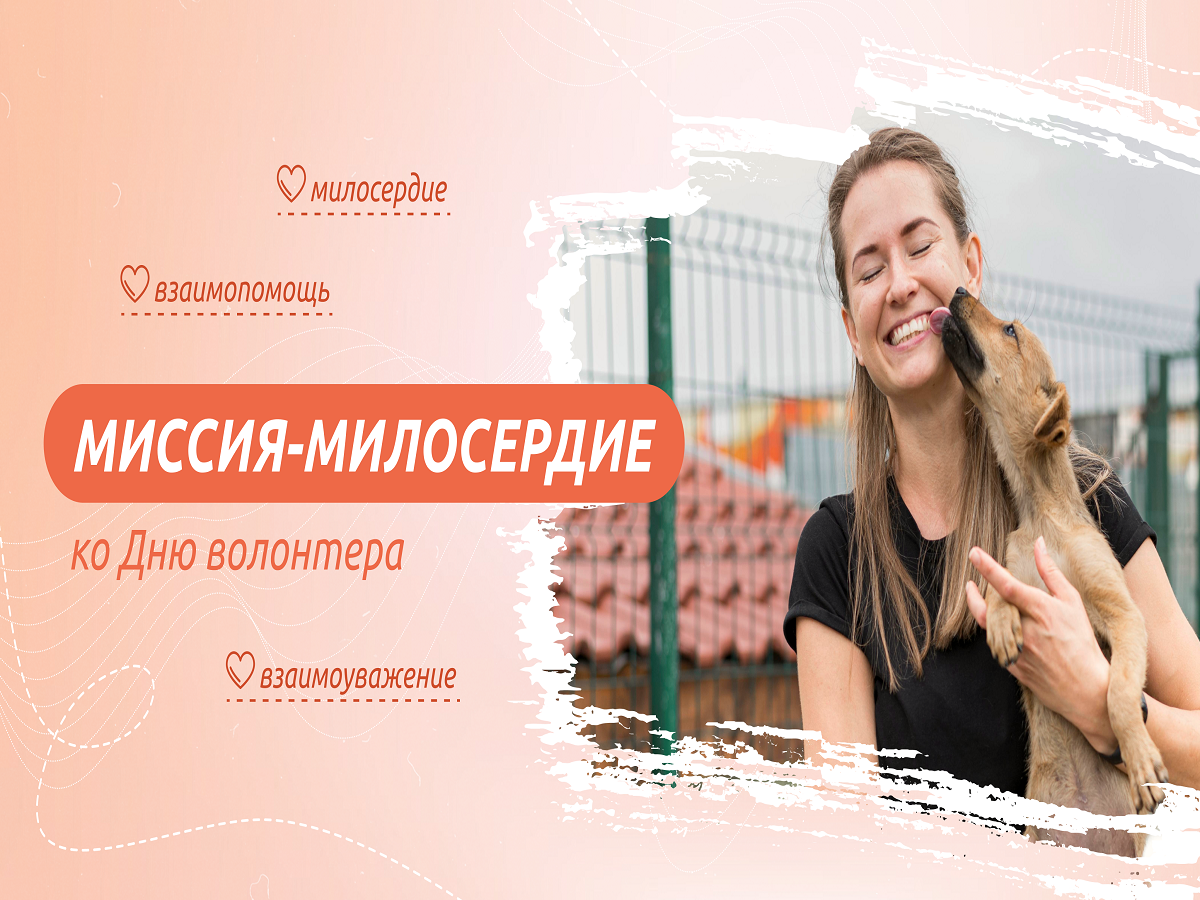 Миссия милосердия.