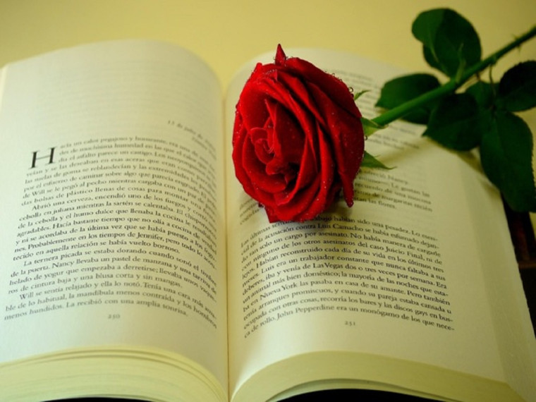 23 апреля Всемирный день книги и авторского права.